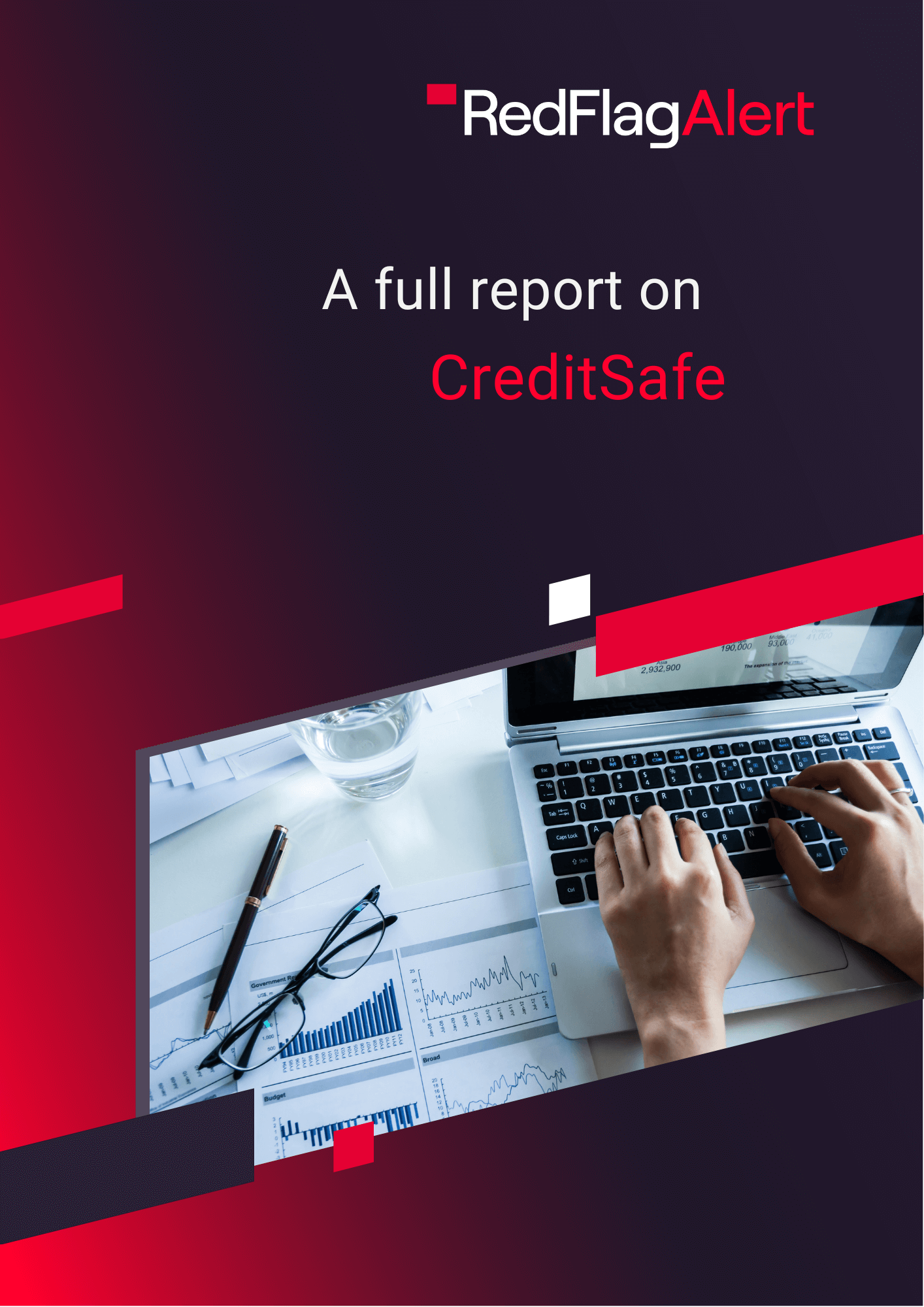 Creditsafe login report page 