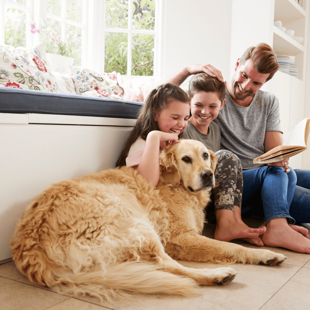 Pets at Home – A Look Behind the Headlines