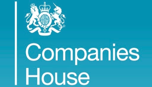 What is a Companies house Web Search?