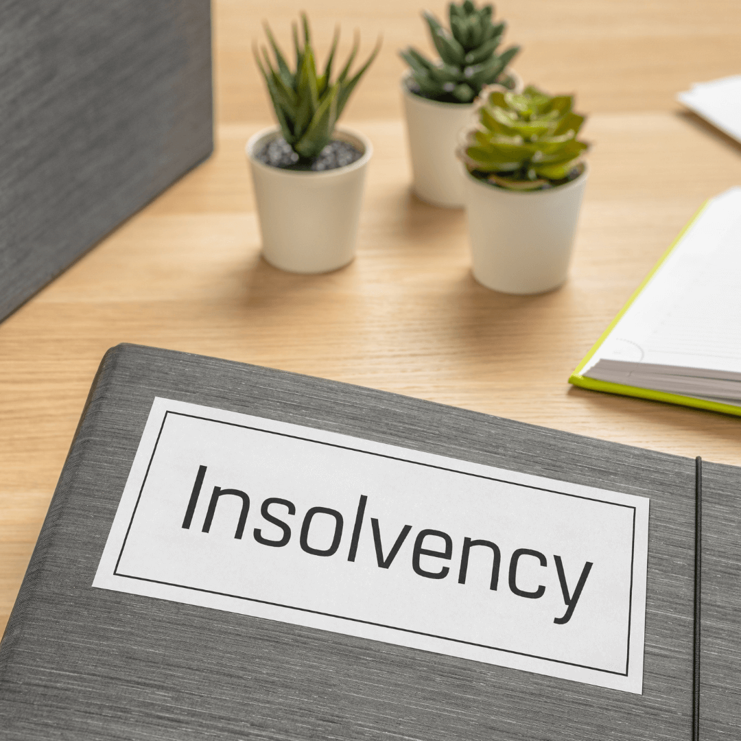 What is the Insolvency Register?