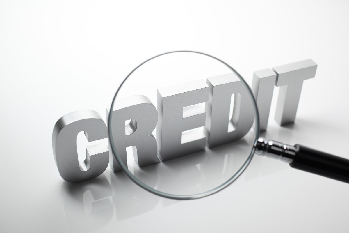 What does a Credit Risk Manager do?